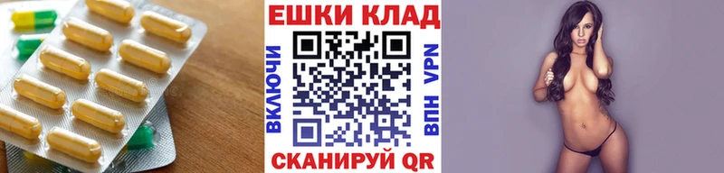 где найти Рыбное ЭКСТАЗИ диски