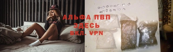 твердый Надым