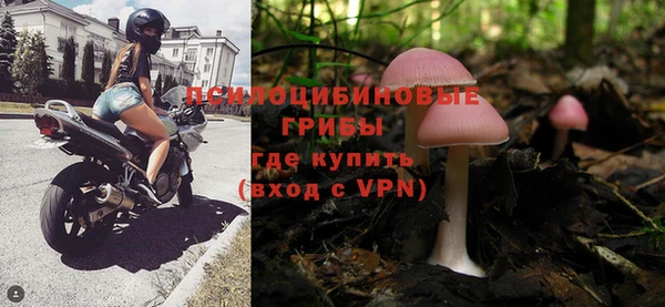 индика Навашино