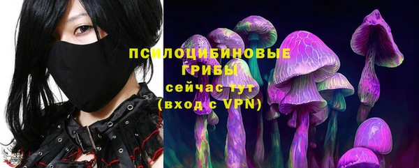 индика Навашино