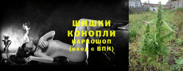индика Навашино