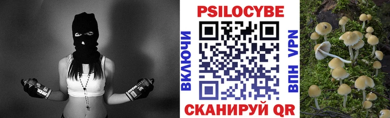 Псилоцибиновые грибы мицелий  Рыбное 